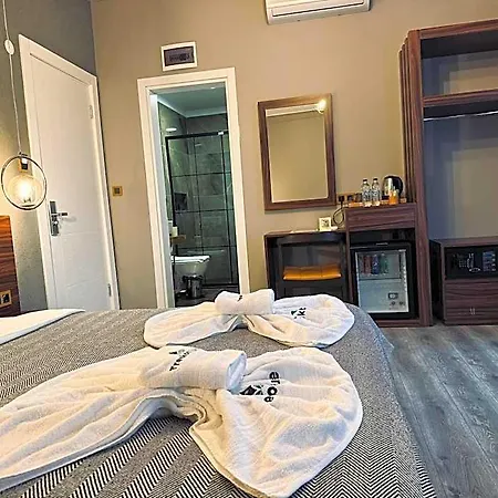 Treekos Airport Hotel 4*
