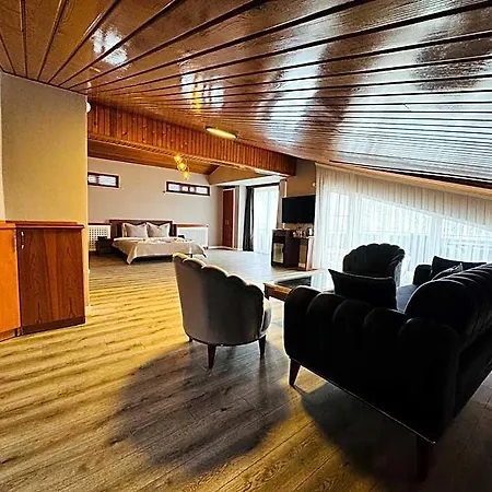 Treekos Airport 4* Κωνσταντινούπολη
