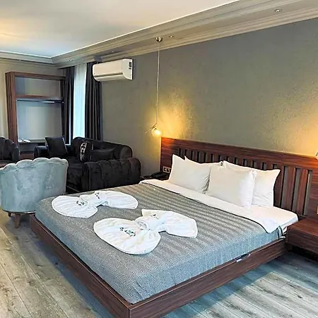 Treekos Airport 4* Provincia di Istanbul