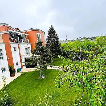 Treekos Airport 4*