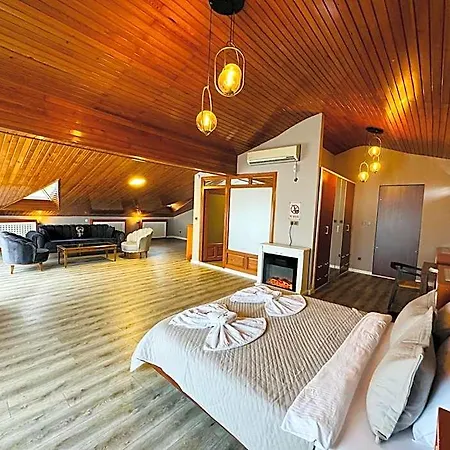 Treekos Airport Ξενοδοχείο 4*