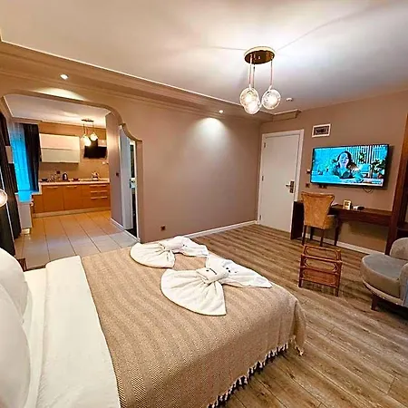Treekos Airport 4*