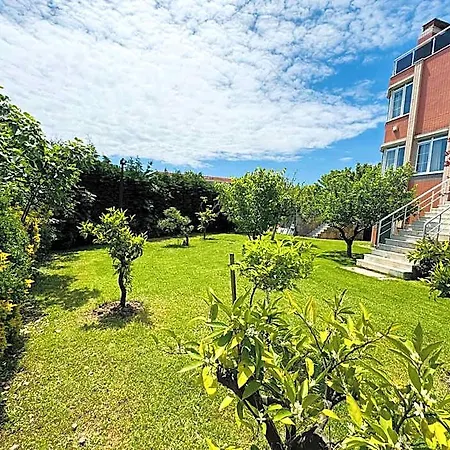 Treekos Airport Ξενοδοχείο Κωνσταντινούπολη